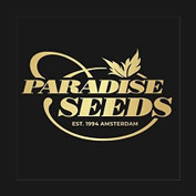 Allkush Feminised Seeds