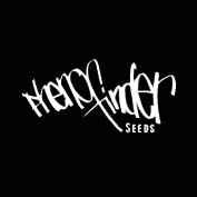 Chemhead OG Feminised Seeds - 5