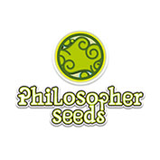 Da Critical Feminised Seeds