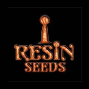 Forbidden Widow Feminised Seeds