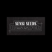 Double Kush Cake Auto Feminised Seeds