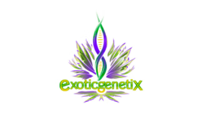 exotic-genetix