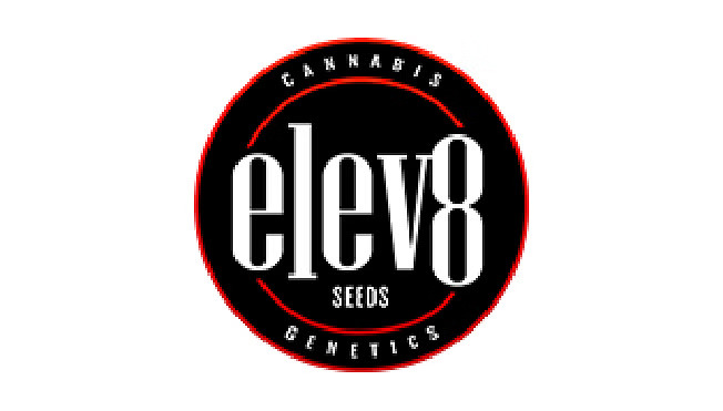 elev8-seeds
